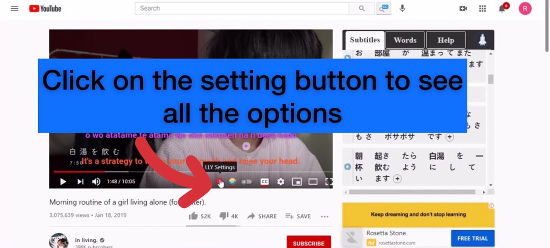 Activate Chinese phonetics on the Netflix extension and the setting button