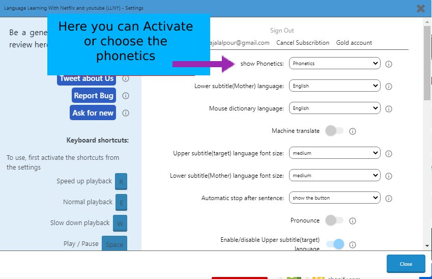 How to activate and choose Chinese phonetics on the Netflix extension