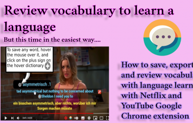 How to save and export vocabulary to export on language learning with Netflix Google Chrome extension