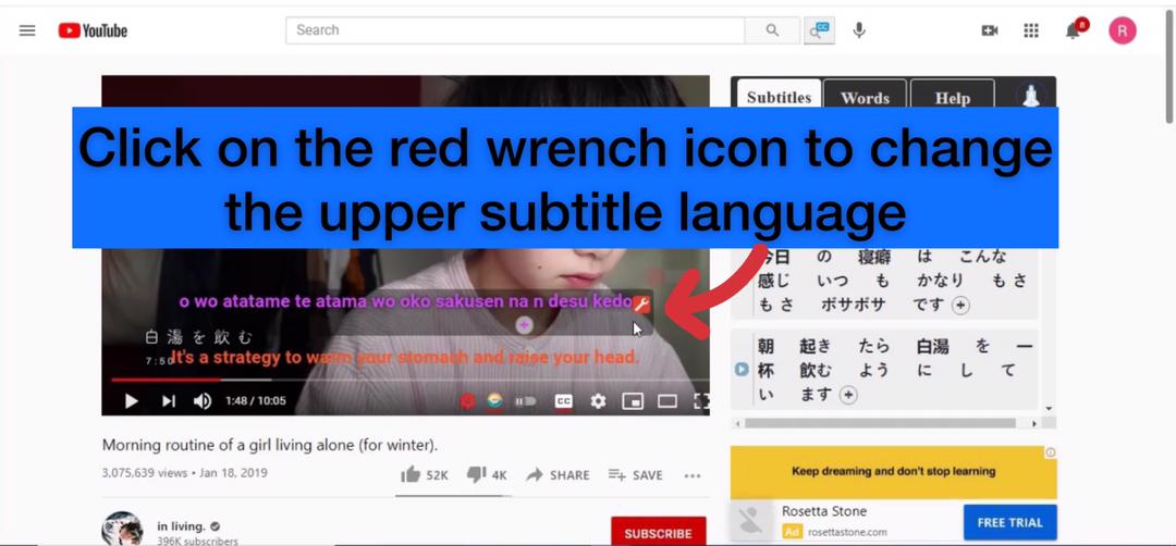 How to change the Korean Phonetics on the Netflix extension for the upper subtitle