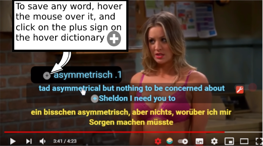 Save words on Netflix Subtitle with language learning with Netflix Google Chrome extension