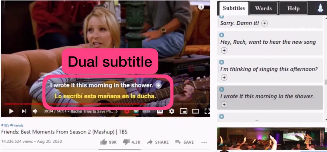 Dual subtitles on the Netflix extension language learning app
