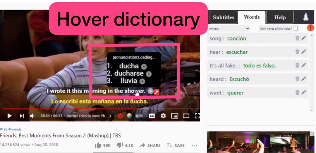 Hover dictionary on language learning with the Netflix extension app