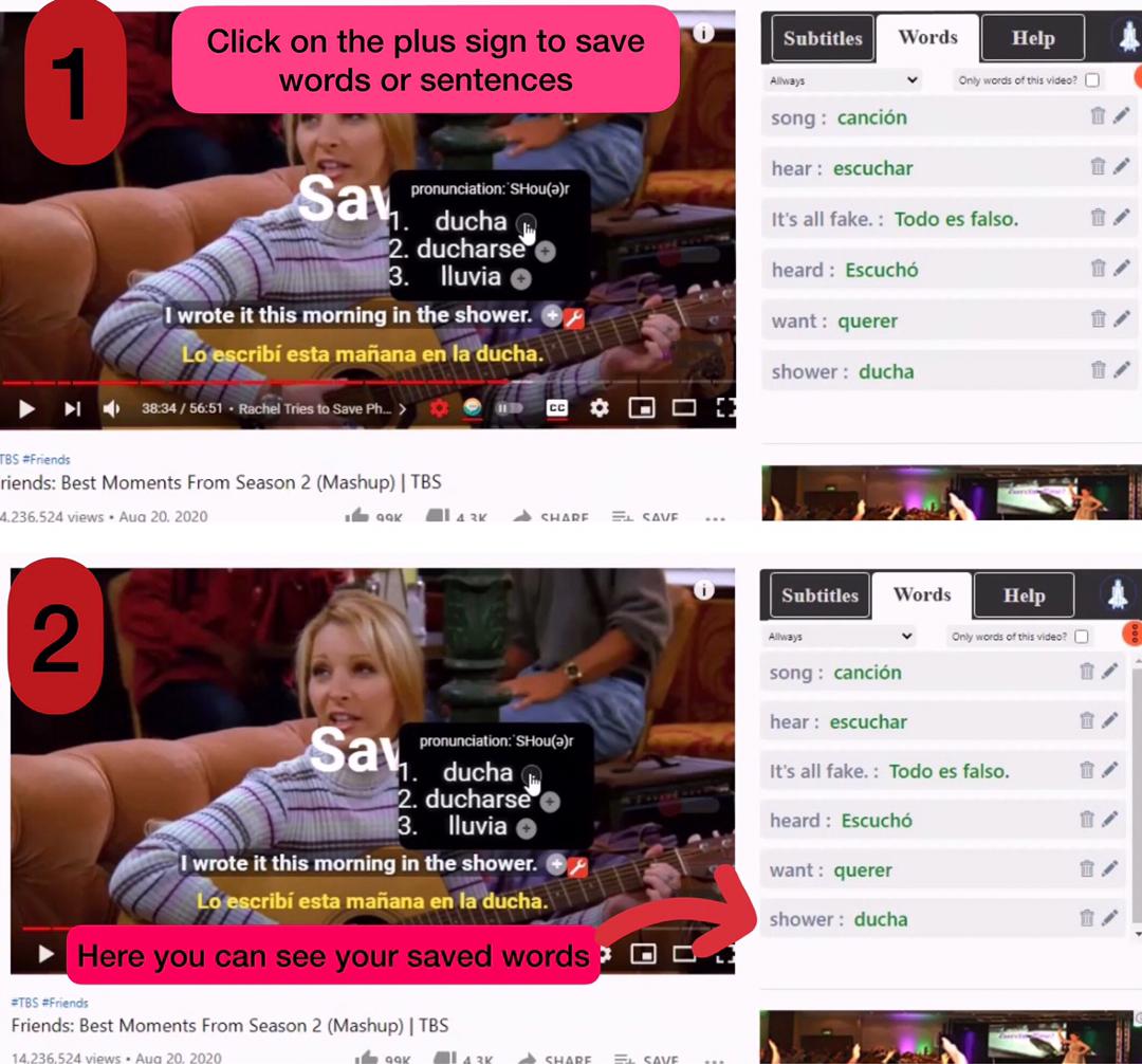 Save words and sentences on language learning app Netflix Chrome extension