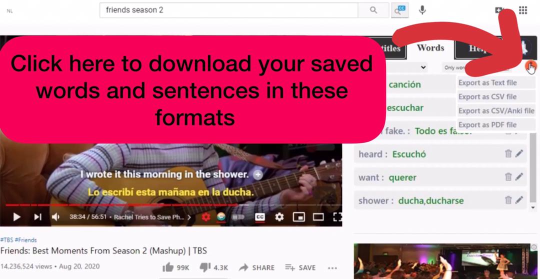 Download interesting phrases on the Netflix and YouTube Chrome extension