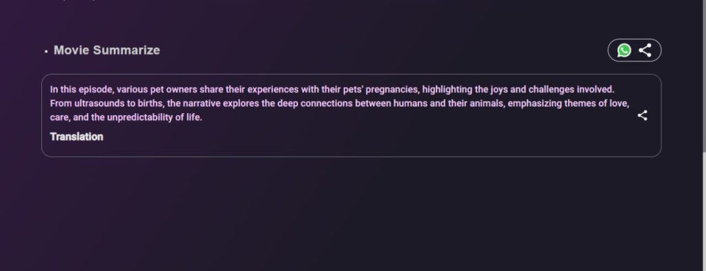 Funfluen AI language learning movie summarizer with English summary and translation options