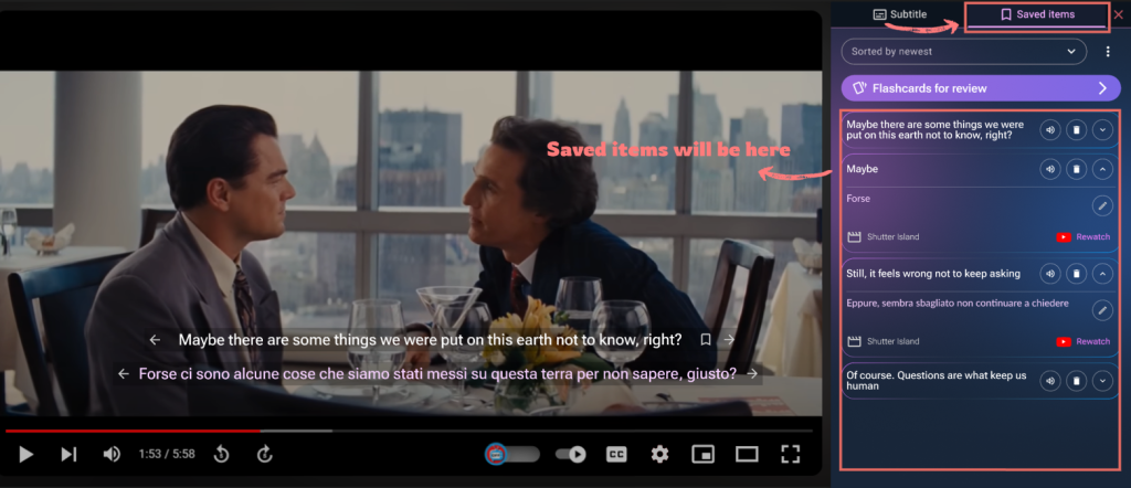 Sidebar showing saved subtitle phrases and vocabulary