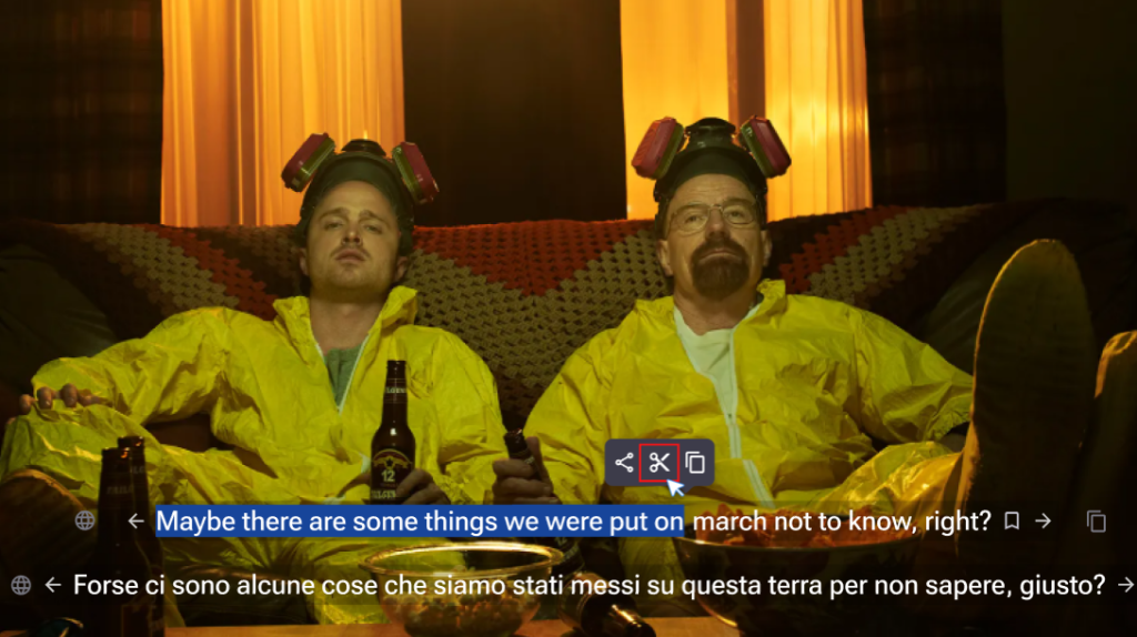 Edit subtitle paragraph popup shown in FunFluen